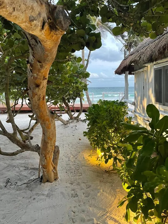 Hotel Roc Luxe Tulum